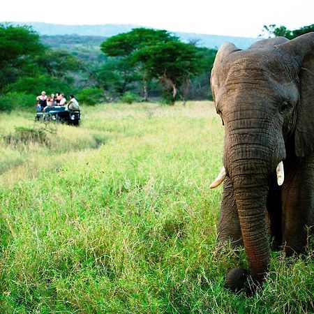 Ntambanana Thula Thula Exclusive Private Game Reserve & Lodge מראה חיצוני תמונה
