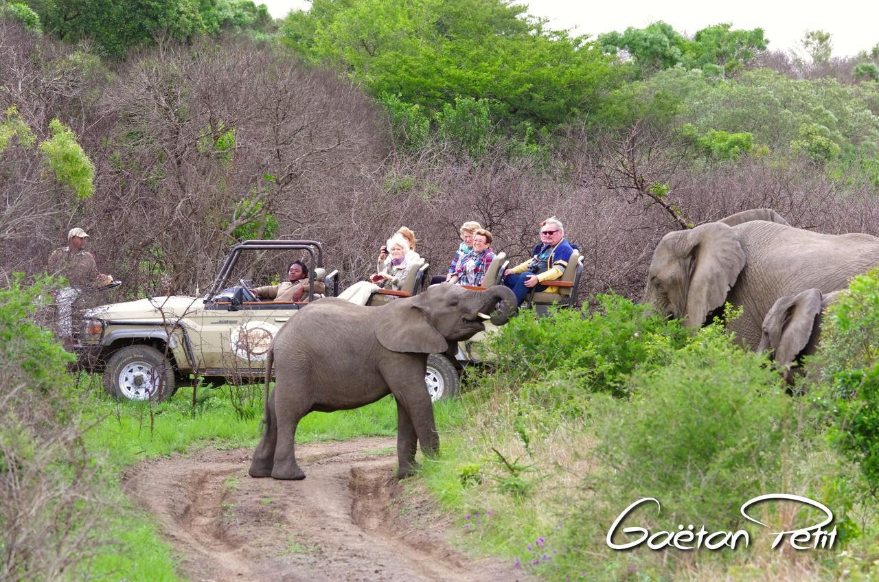 Ntambanana Thula Thula Exclusive Private Game Reserve & Lodge מראה חיצוני תמונה