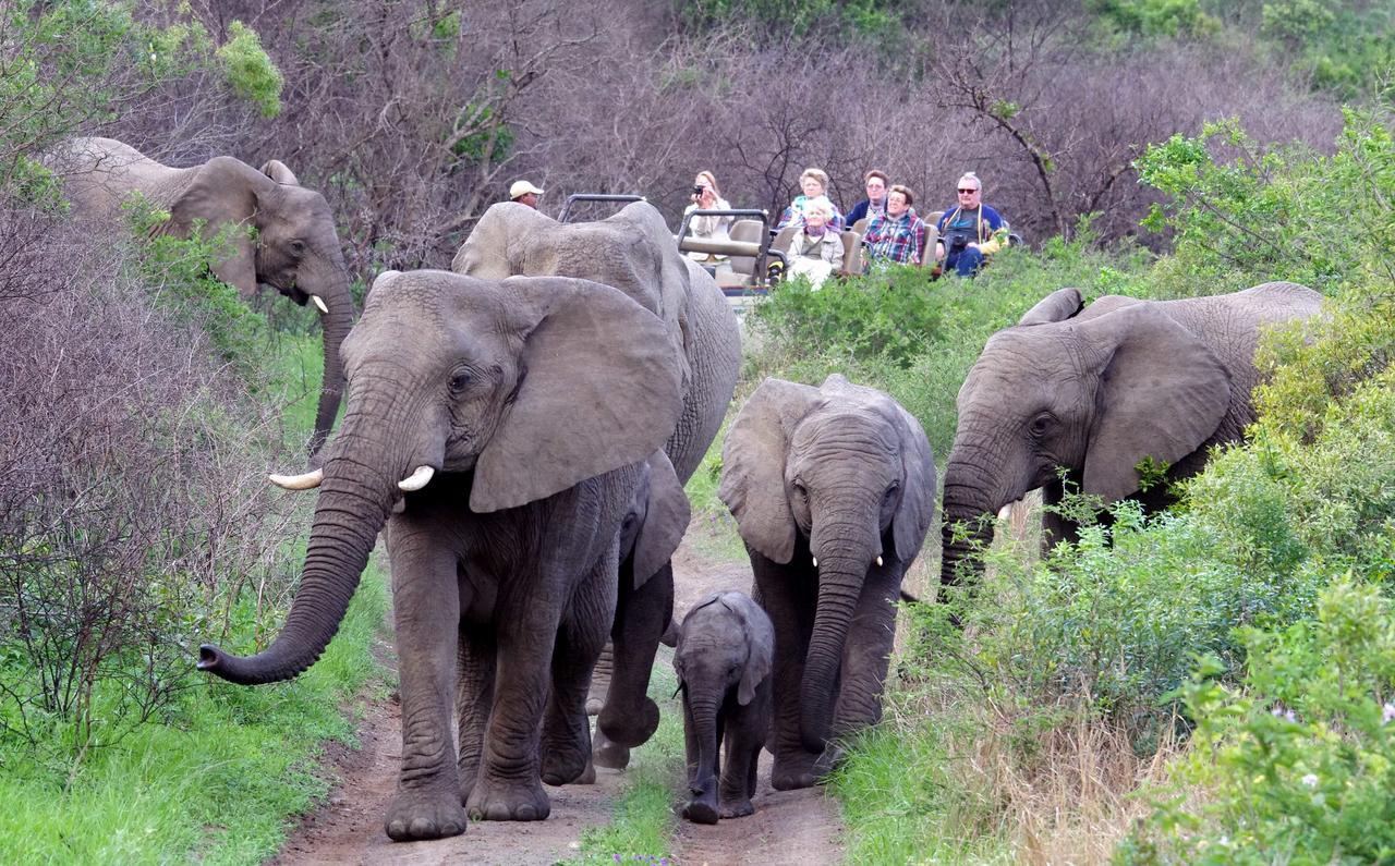 Ntambanana Thula Thula Exclusive Private Game Reserve & Lodge מראה חיצוני תמונה