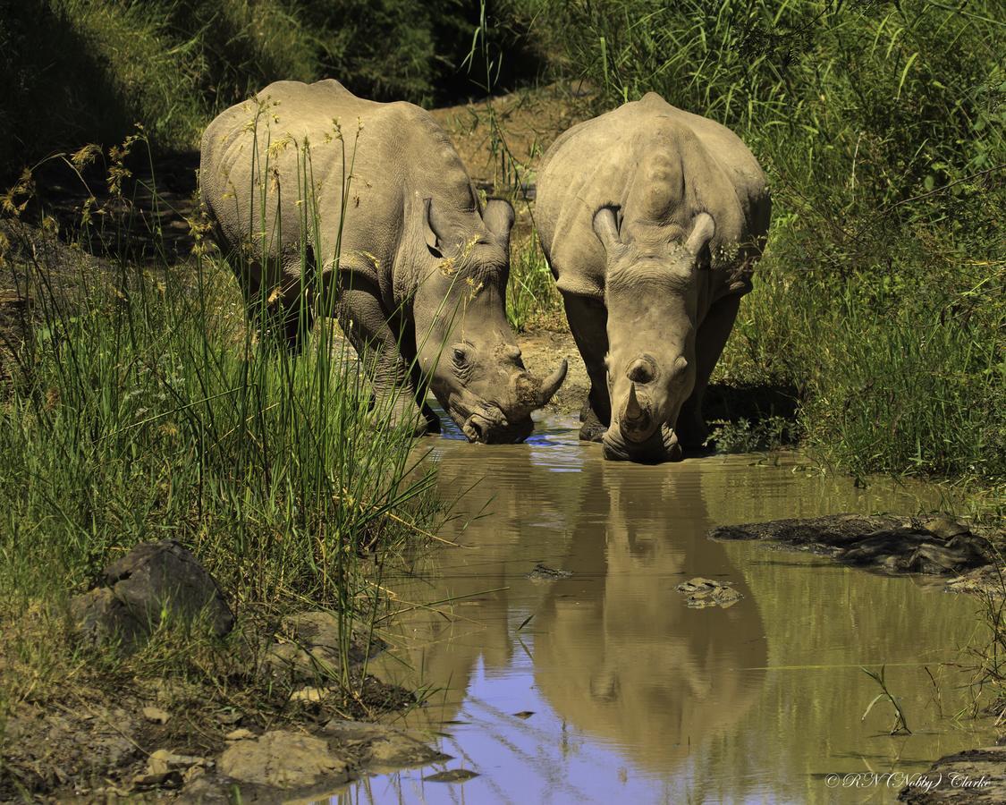 Ntambanana Thula Thula Exclusive Private Game Reserve & Lodge מראה חיצוני תמונה