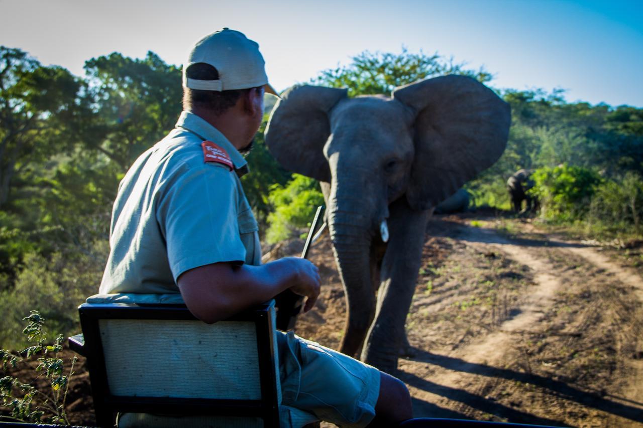 Ntambanana Thula Thula Exclusive Private Game Reserve & Lodge מראה חיצוני תמונה