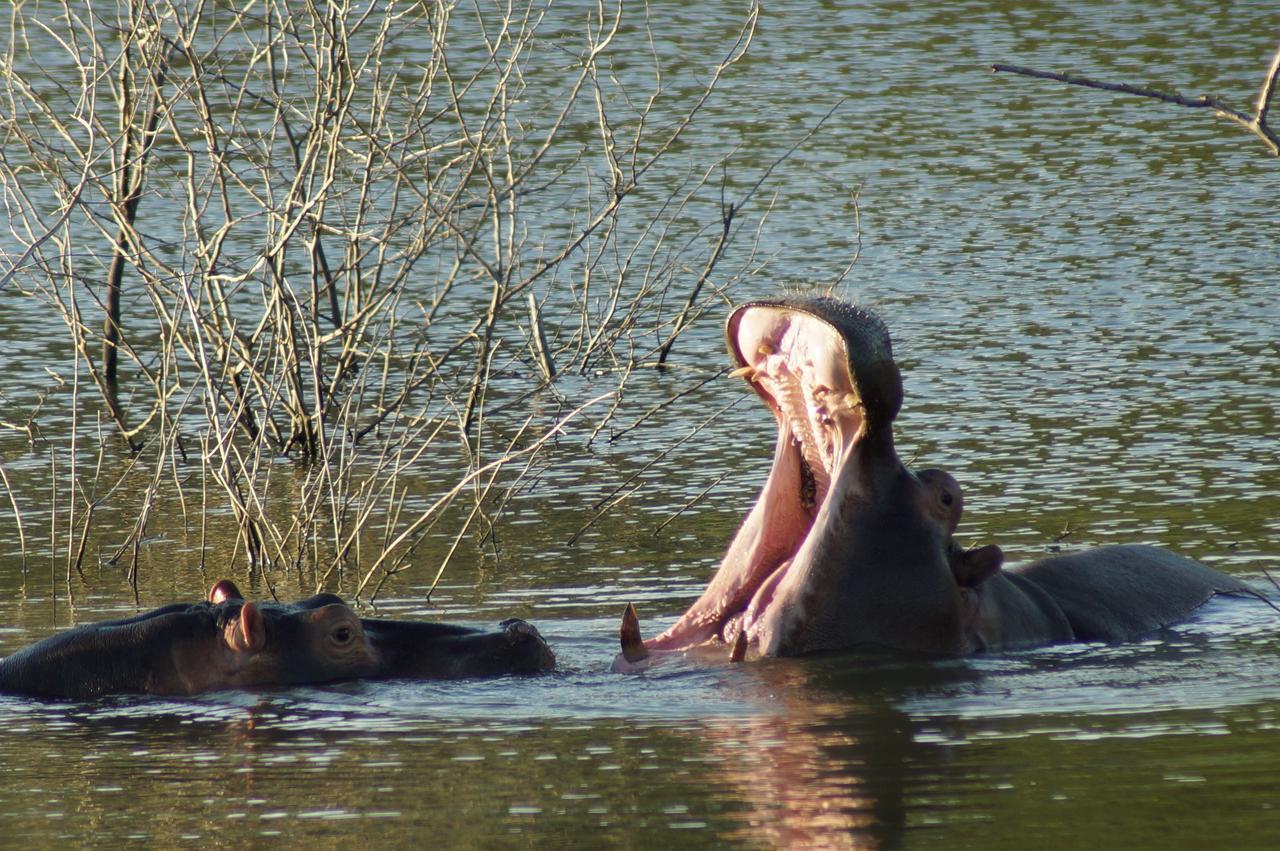 Ntambanana Thula Thula Exclusive Private Game Reserve & Lodge מראה חיצוני תמונה