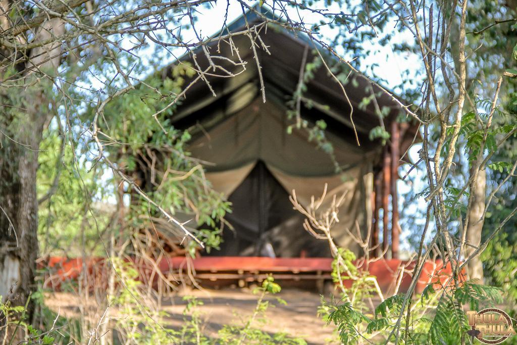 Ntambanana Thula Thula Exclusive Private Game Reserve & Lodge מראה חיצוני תמונה